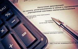 Плательщиков УСН освободят от деклараций