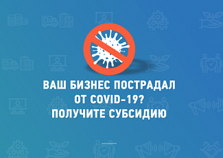 ФНС России упростила процедуру подачи заявлений на получение субсидий для индивидуальных предпринимателей